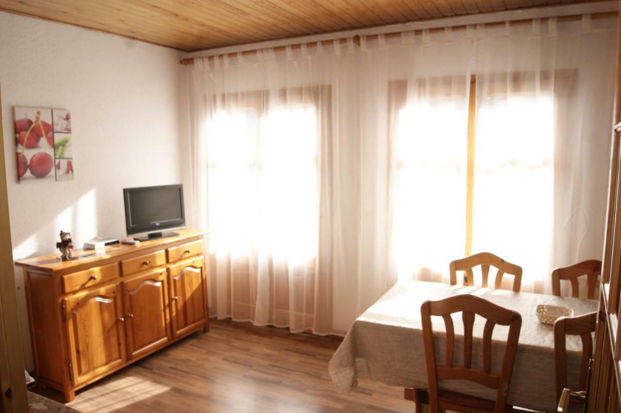 Apartaments Pont Romanic Espot Εξωτερικό φωτογραφία